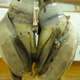 Image for article titled Young Boy Becomes First Human to Live With a Permanent "Robot Heart"